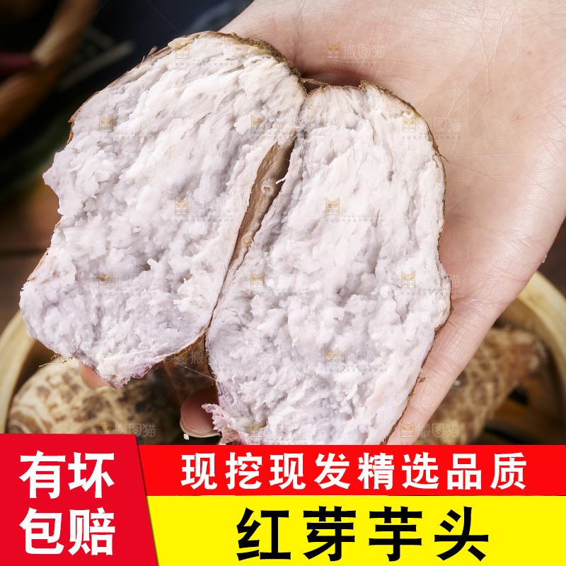 手里拿着熟的小芋头