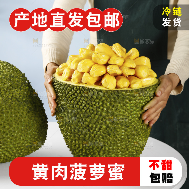 手里抱着海南黄肉菠萝蜜