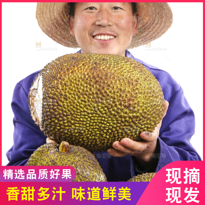 农民手里捧着菠萝蜜