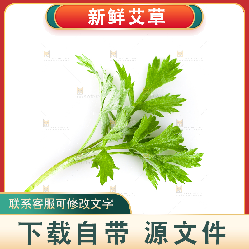 白底上放着艾草叶