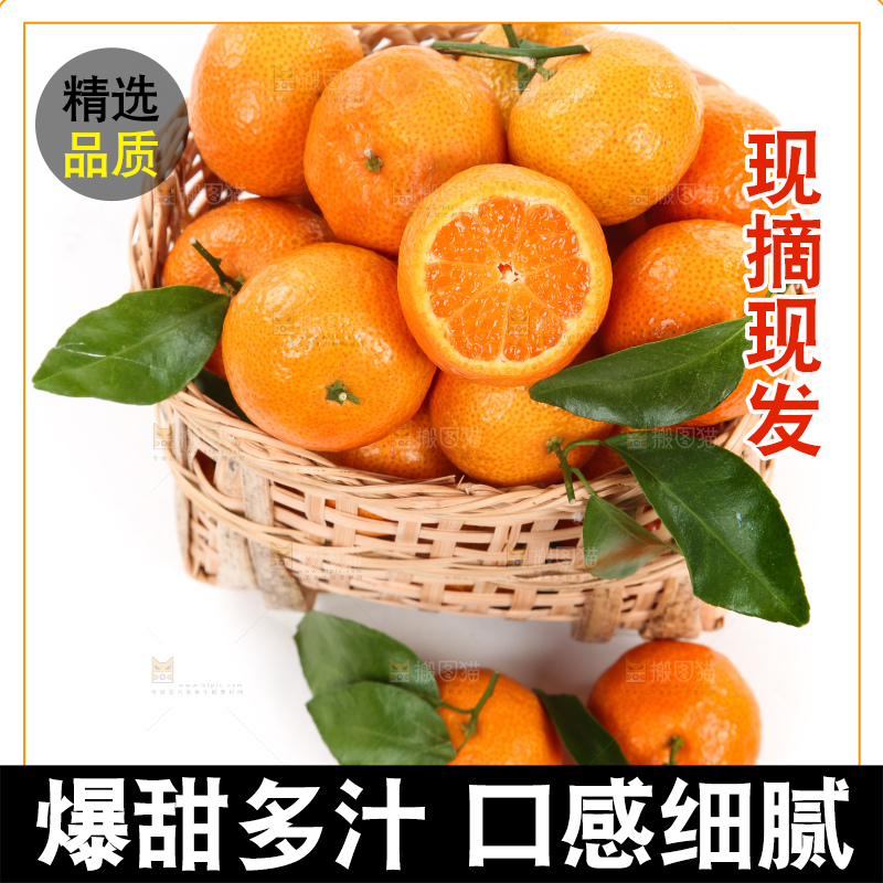 筐子里的四会砂糖橘