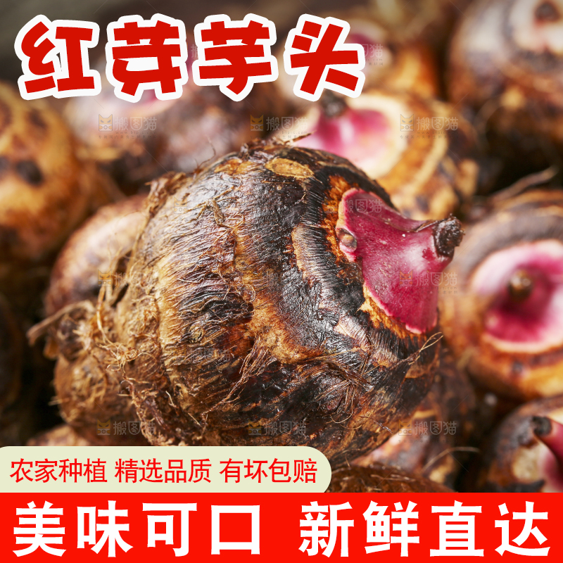 一盘广西红芽芋