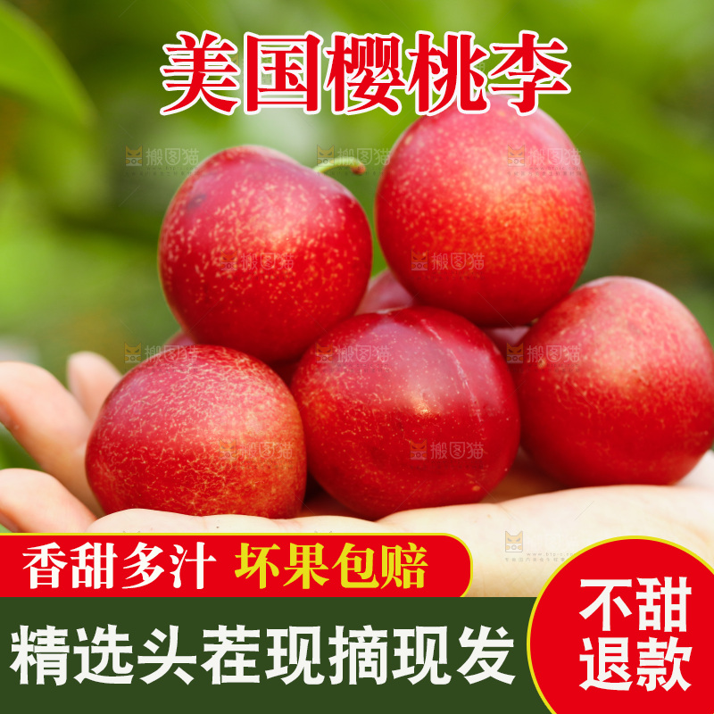 手里拿着澳洲樱桃李