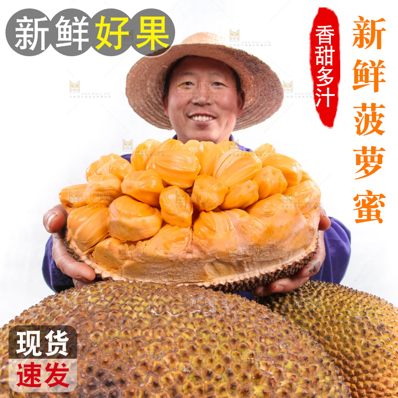 农民手里捧着红肉菠萝蜜