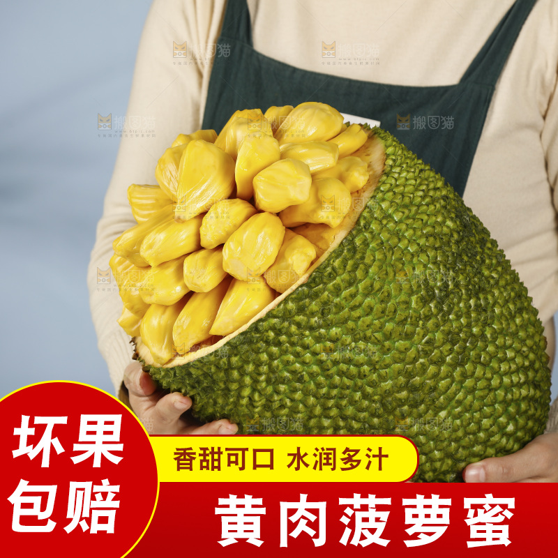 手里抱着海南黄肉菠萝蜜