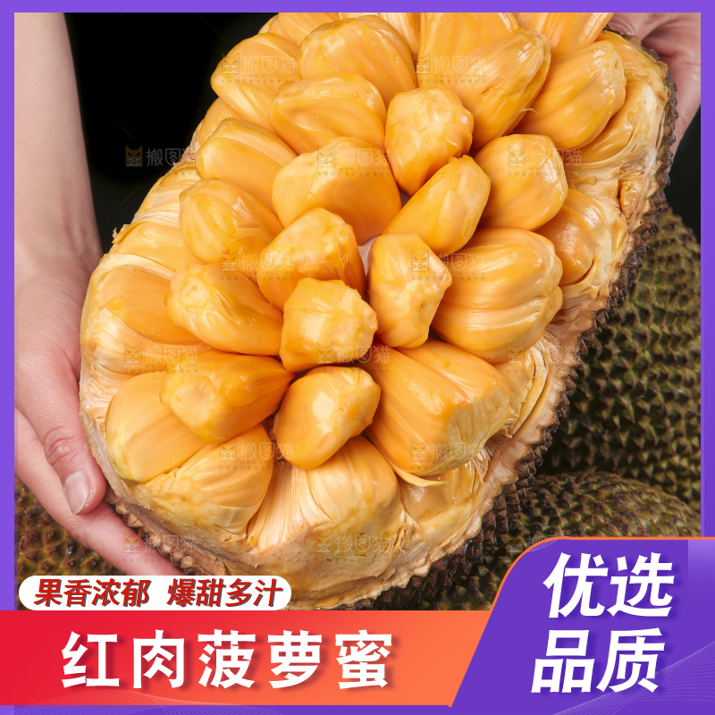 手里捧着红肉菠萝蜜