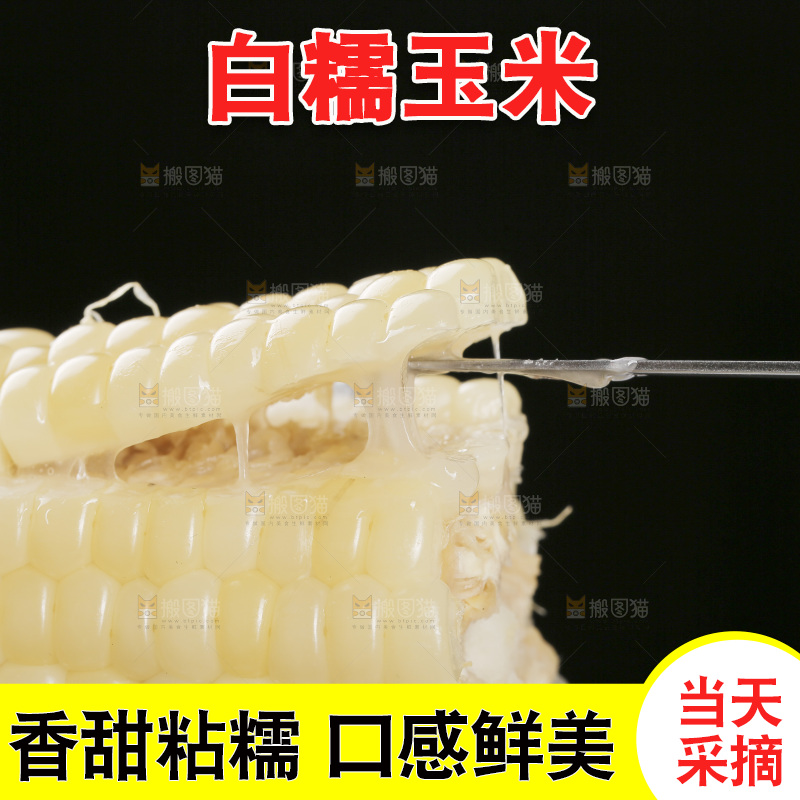 叉子上插着甜糯白玉米
