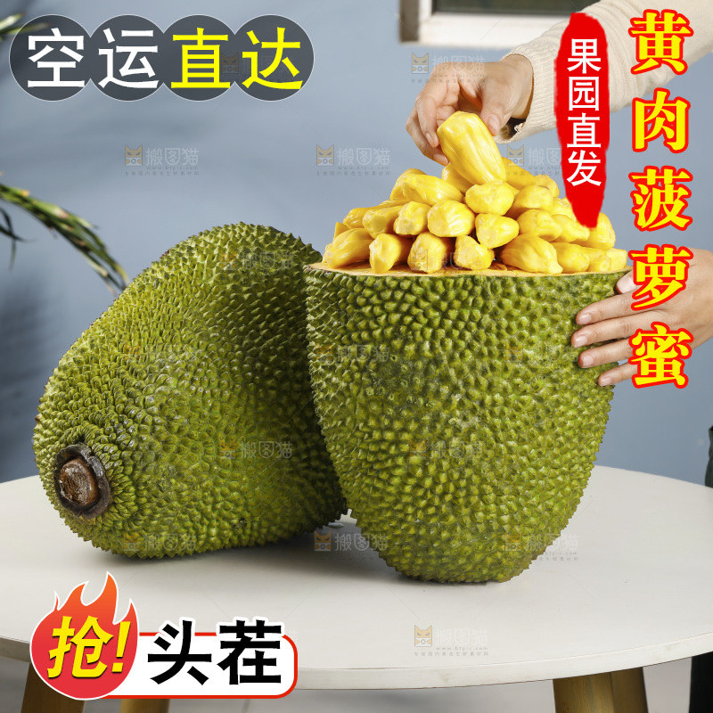 手里拿着菠萝蜜果肉