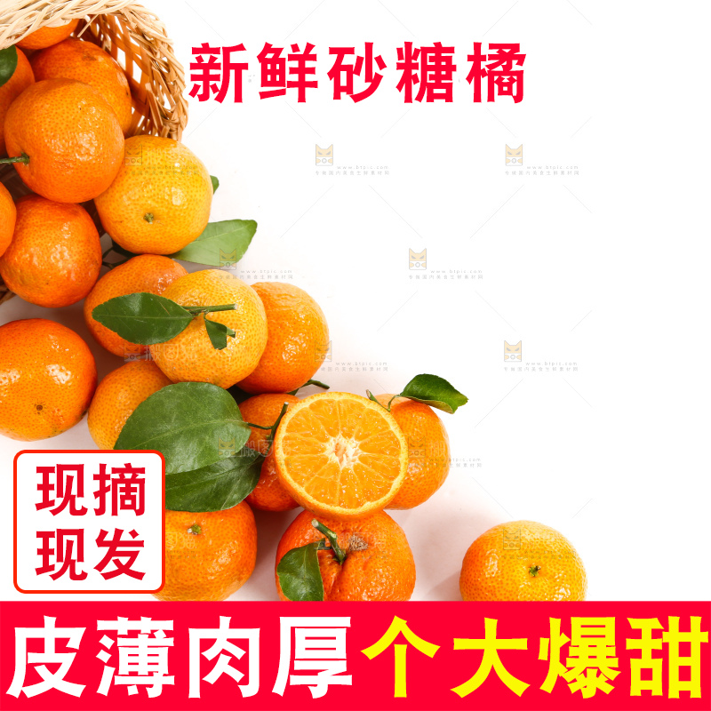 筐子里的四会砂糖橘