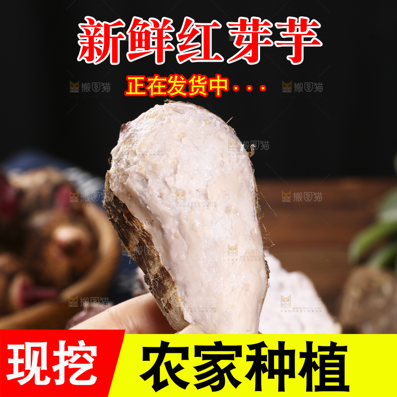 撕皮的红芽芋