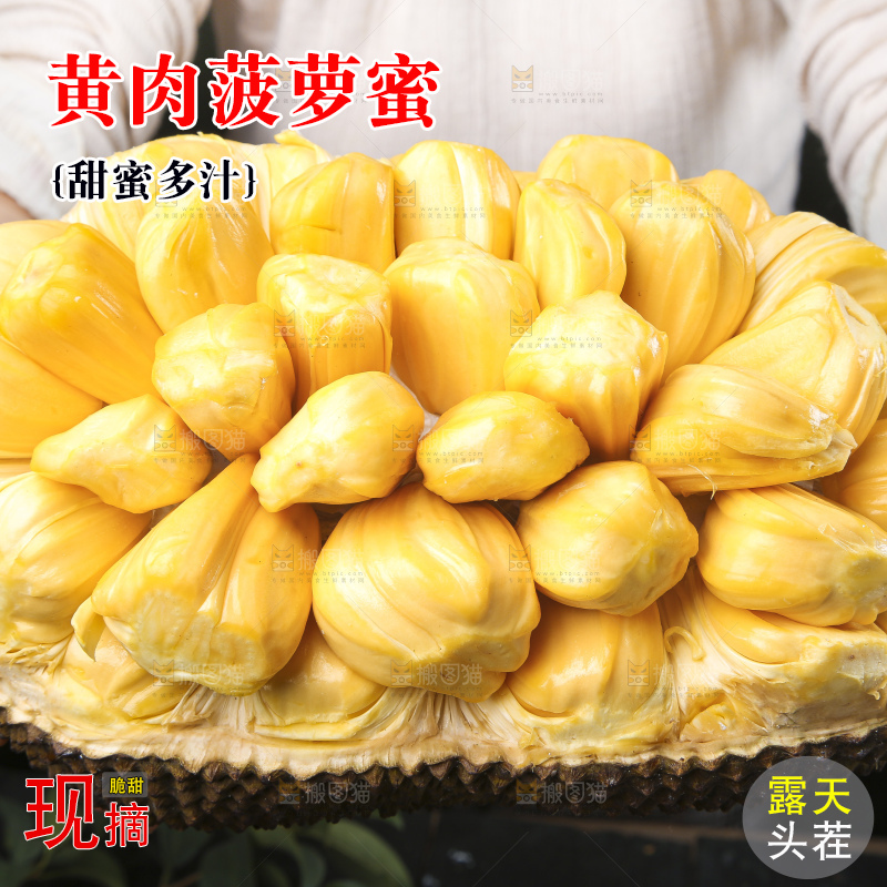 手里捧着海南菠萝蜜