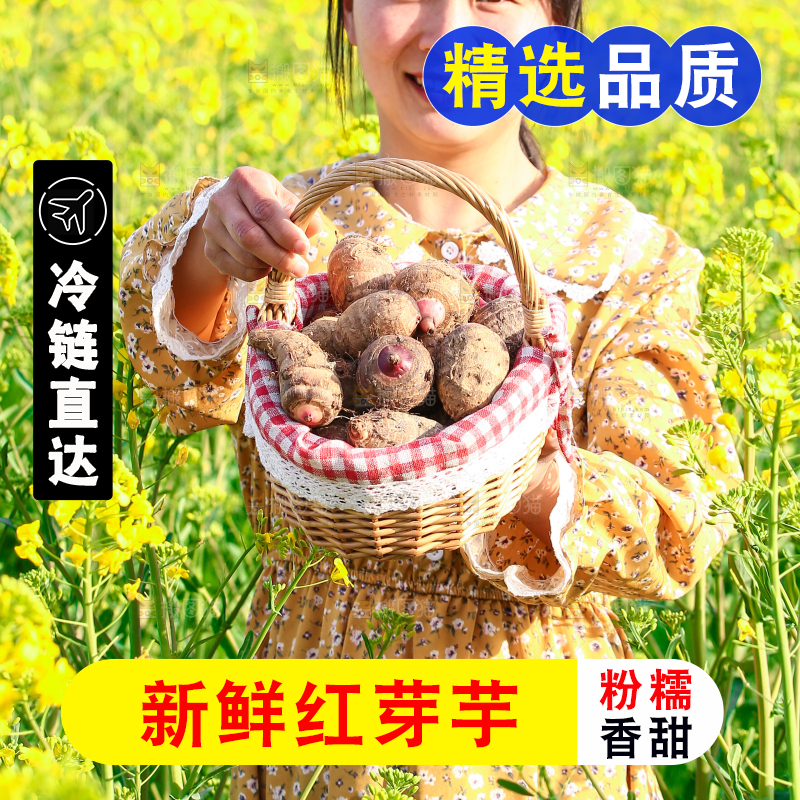 手里提着一篮红芽芋头