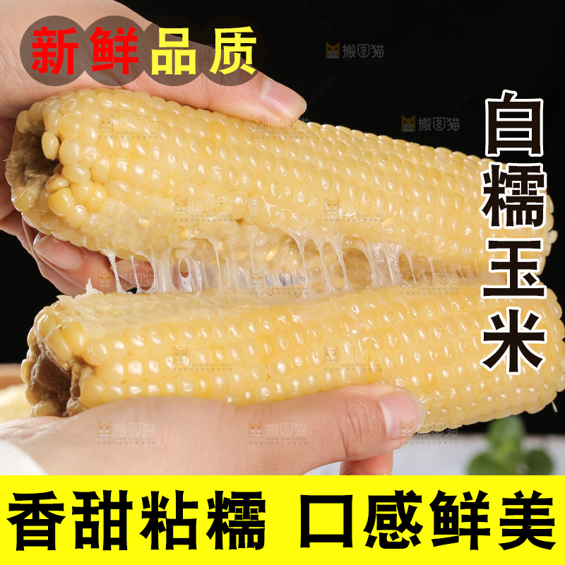 手里拿着白糯玉米棒