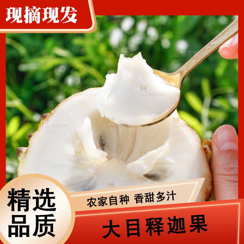 勺子上舀着释迦果果肉