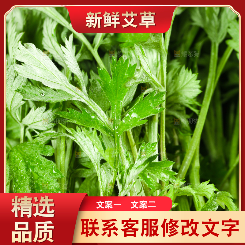 一篮新鲜艾叶