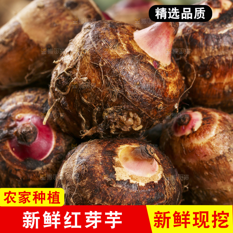 一盘新鲜红芽芋头