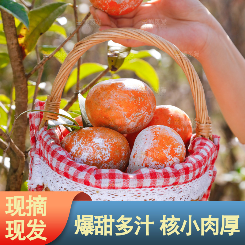 手里提着一篮茂谷柑