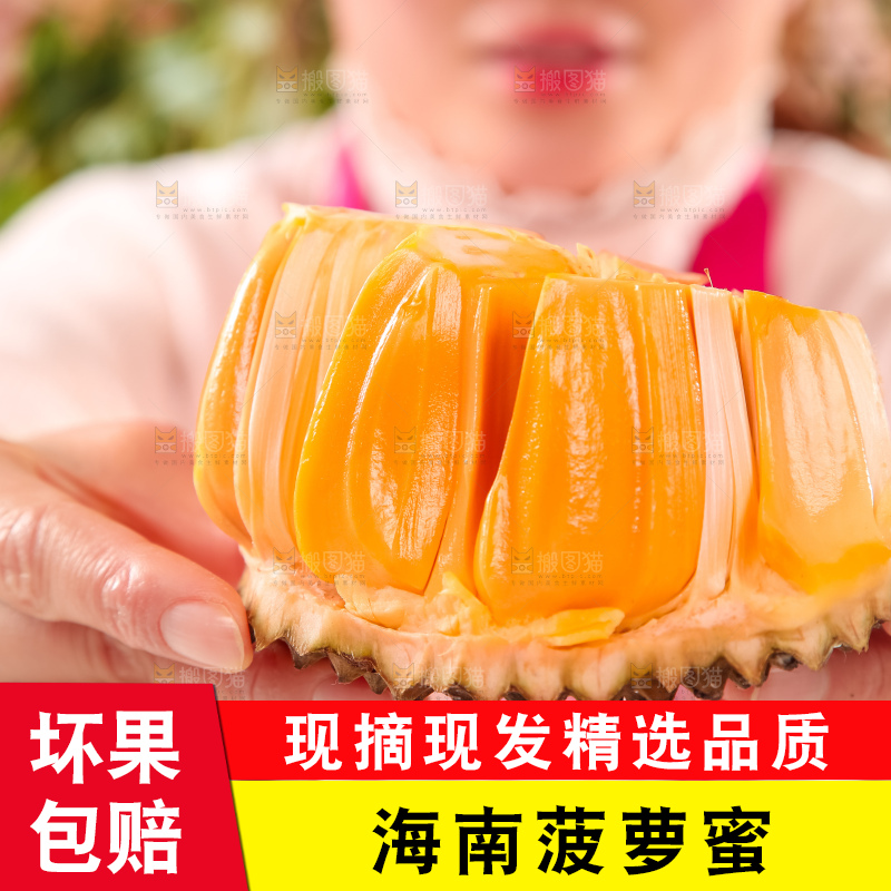 手里拿着红肉菠萝蜜