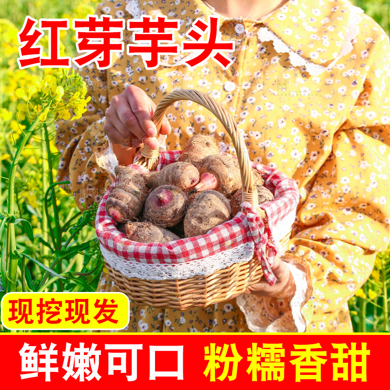 手里提着一篮红芽芋头