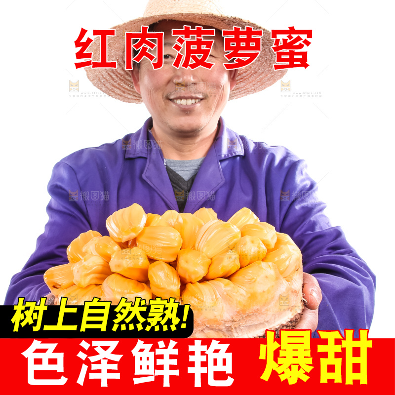 农民手里捧着红肉菠萝蜜