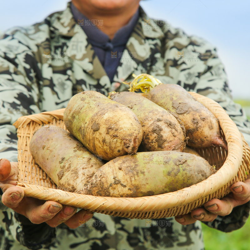 一簸箕冰激凌水果萝卜
