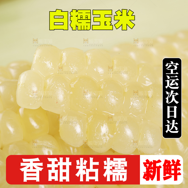 新鲜白糯玉米