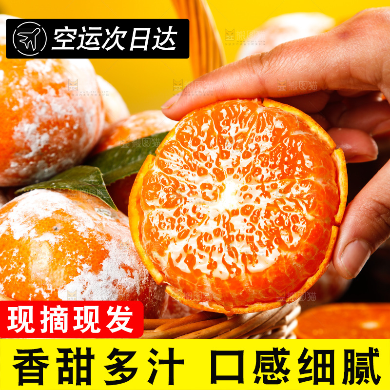 手里拿着茂谷柑