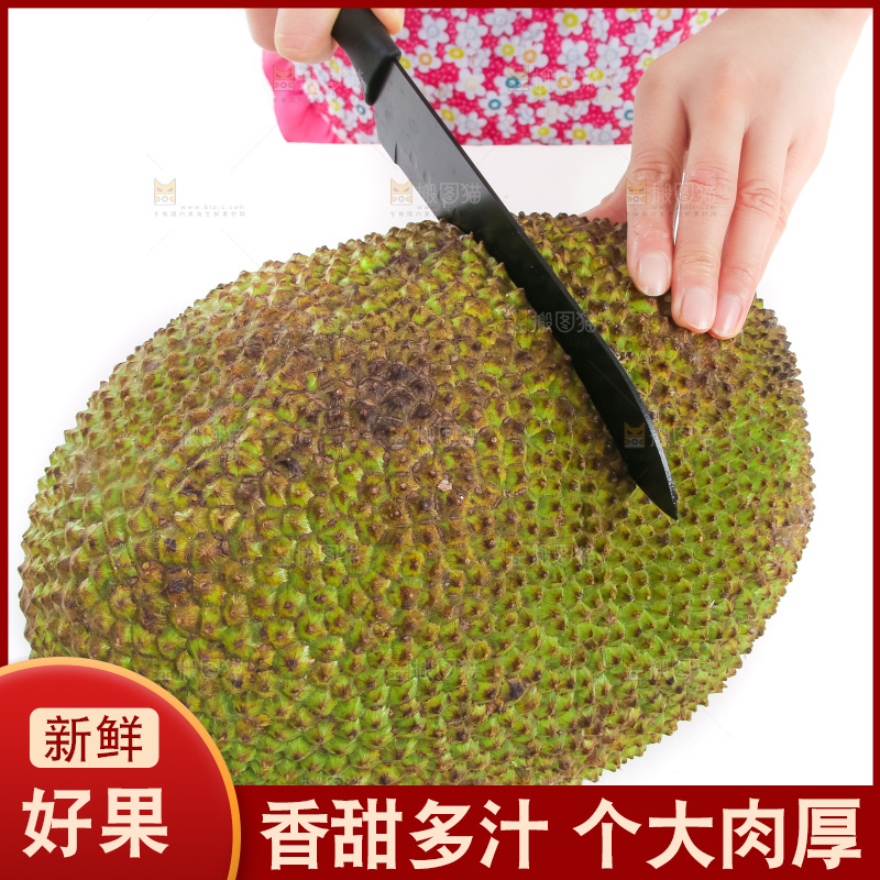 刀切着菠萝蜜