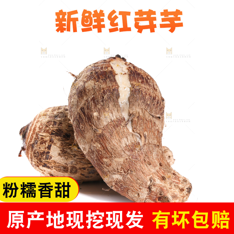 白底上放着蒸熟的红芽芋