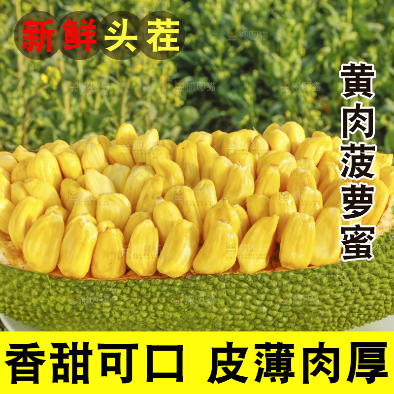 桌子上放着黄肉菠萝蜜