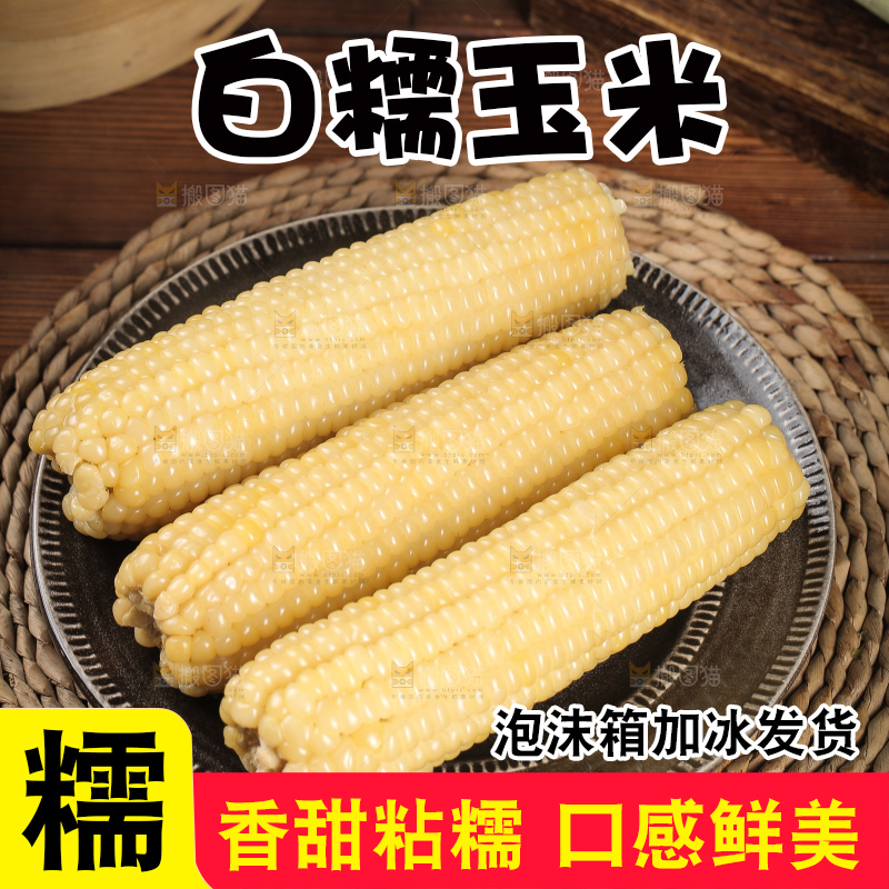 一盘东北白糯玉米