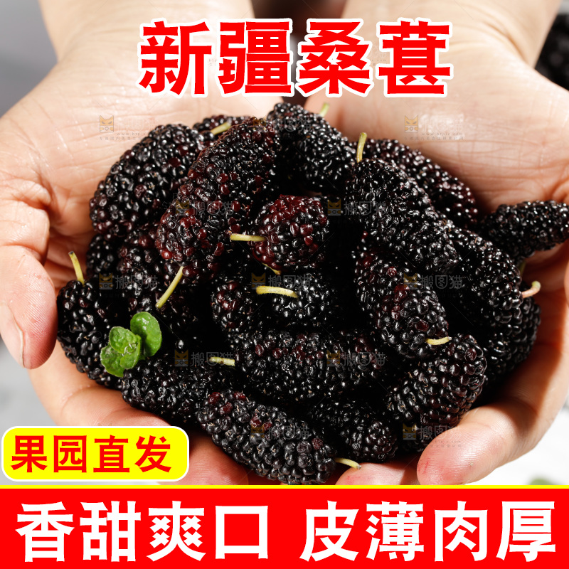 手里捧着桑葚果