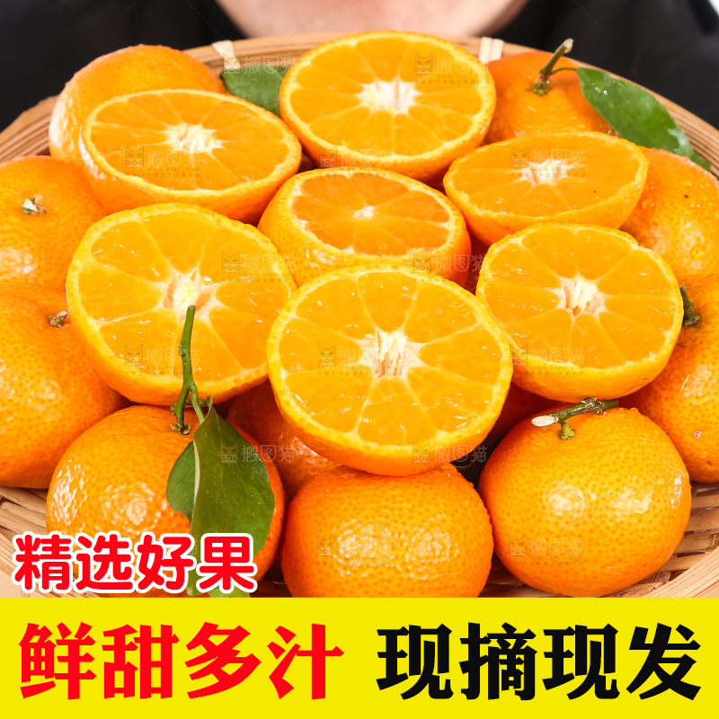 手里端着一篮新鲜砂糖橘