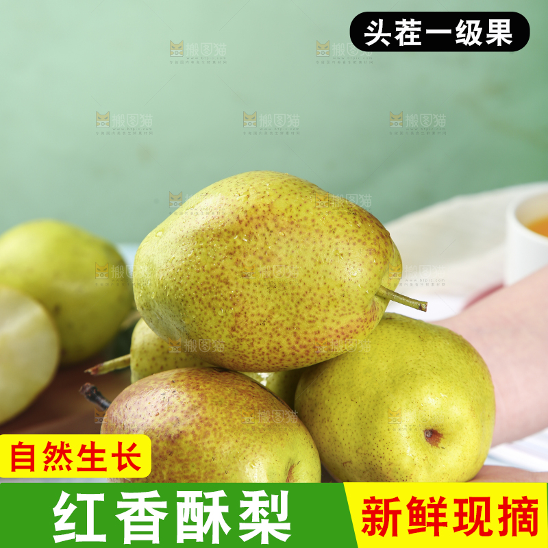 手里捧着陕西红香酥梨