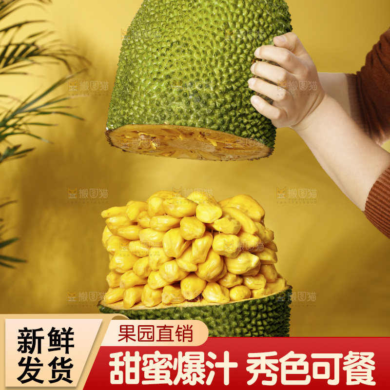 桌子上摆放着黄心菠萝蜜