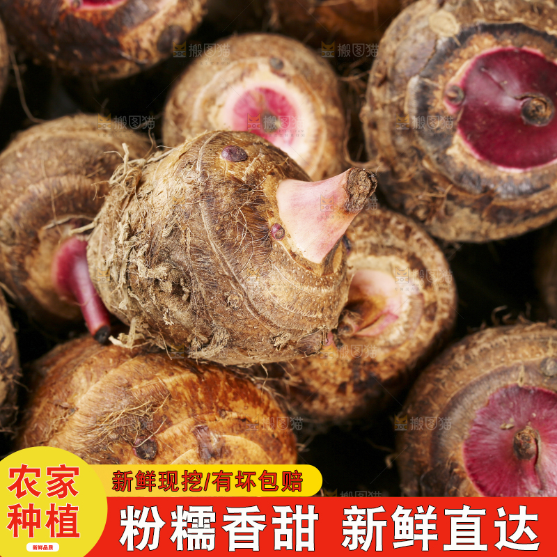 一盘广西红芽芋