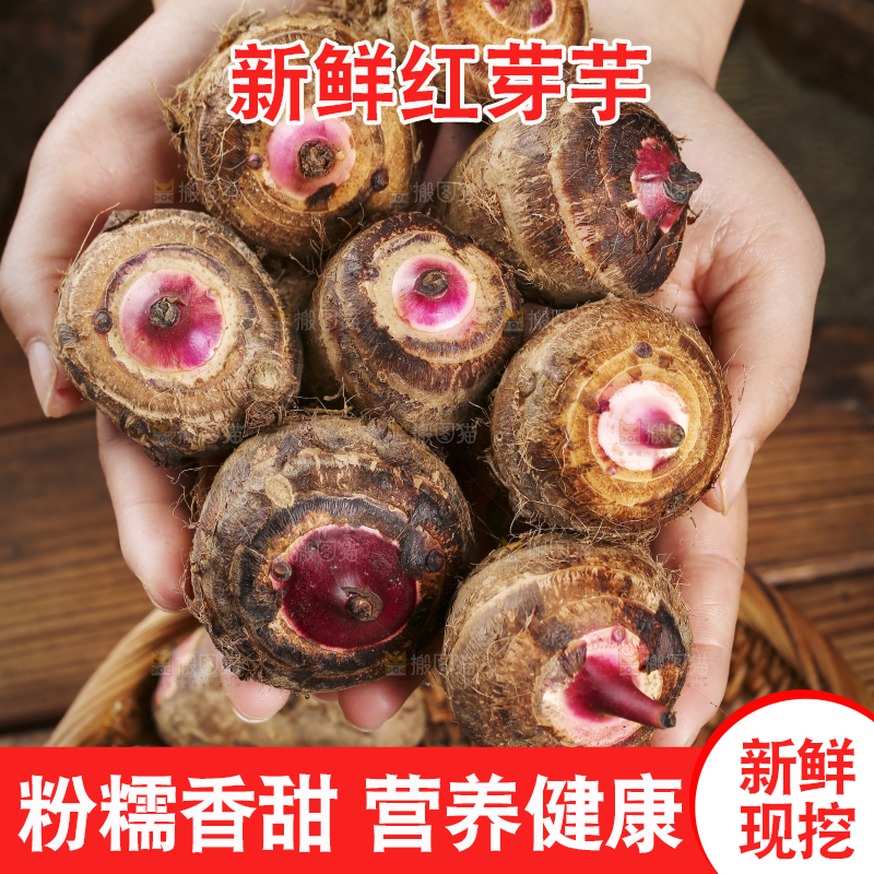 手里捧着红芽芋头