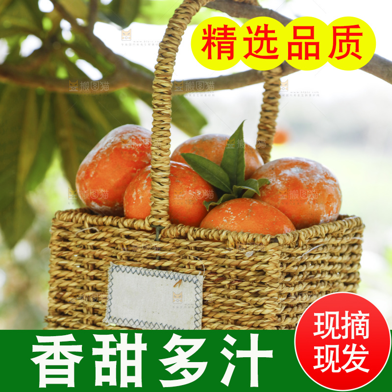 一篮新鲜茂谷柑