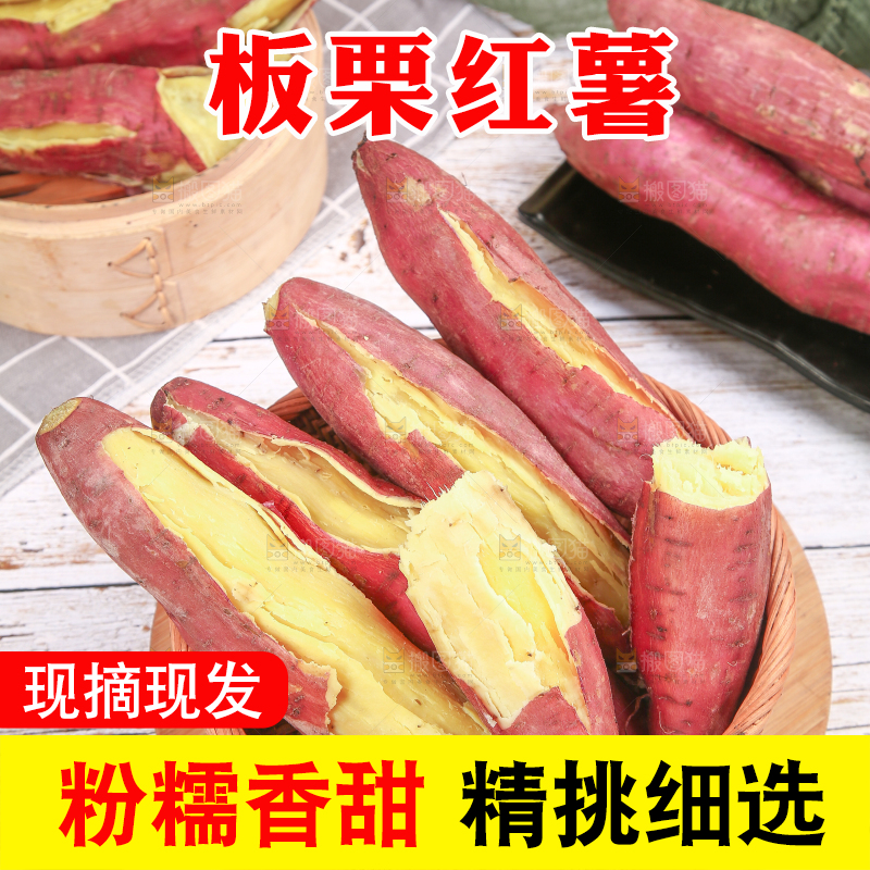 板栗薯