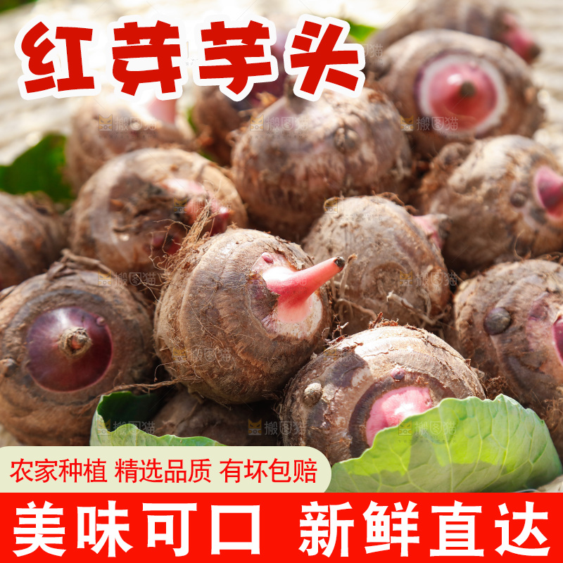 草帽里的小芋头