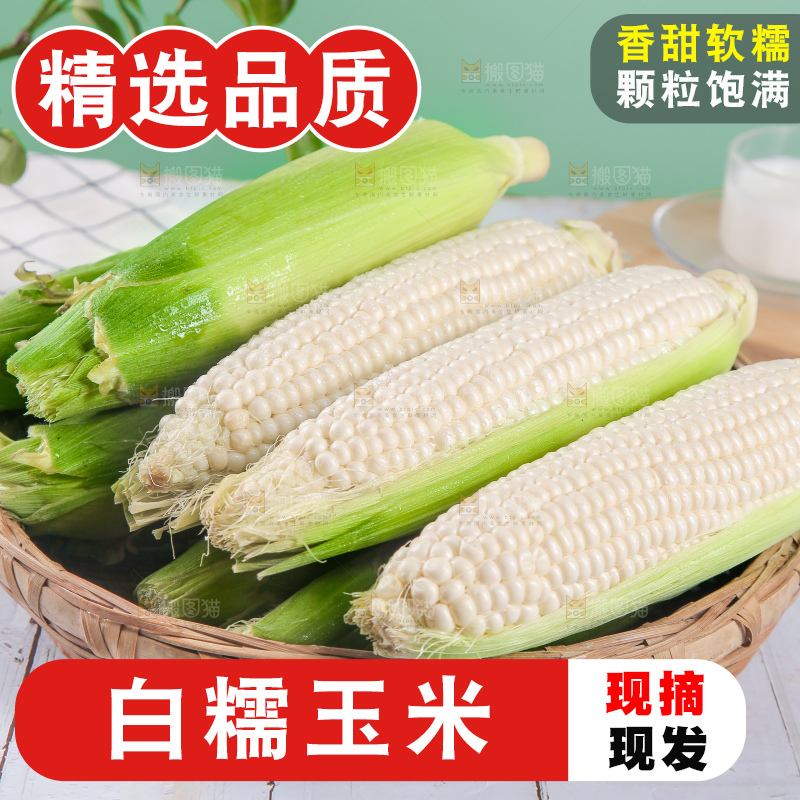 一篮新鲜白糯玉米