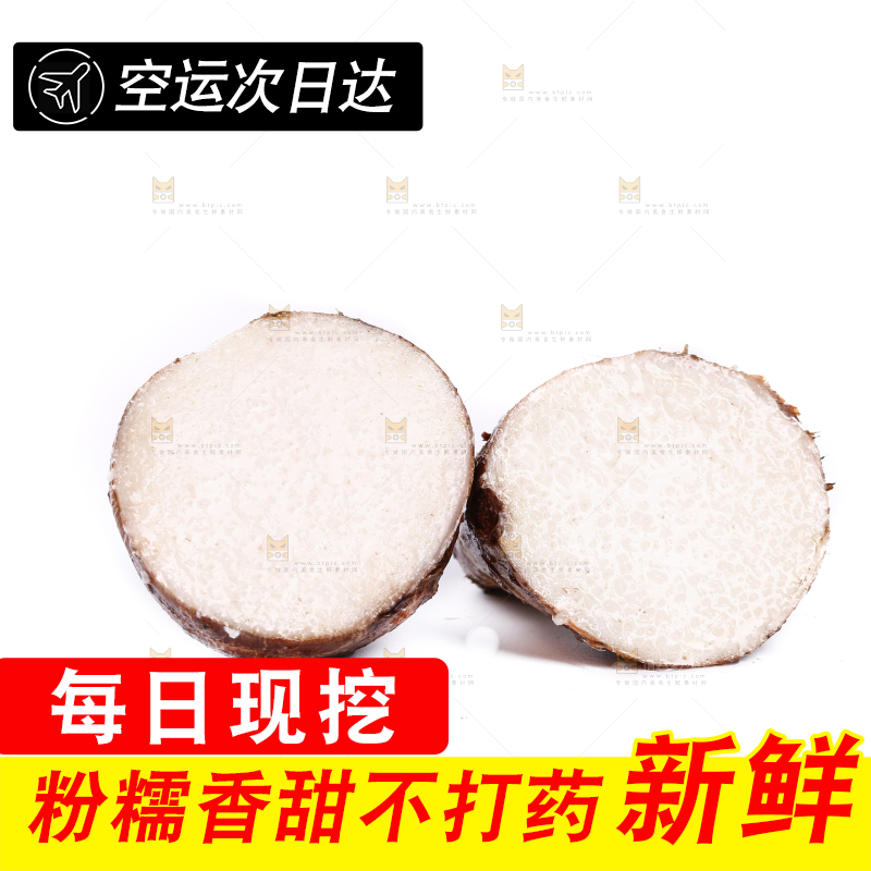 白底上摆放着红芽芋