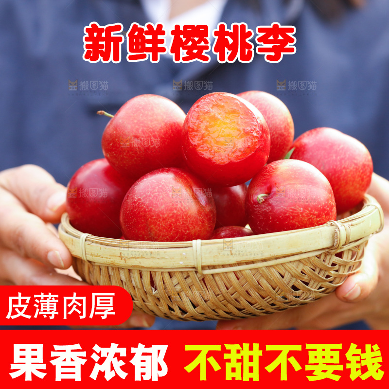 一篮智利樱桃李