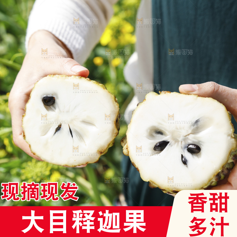 切开的牛奶释迦果