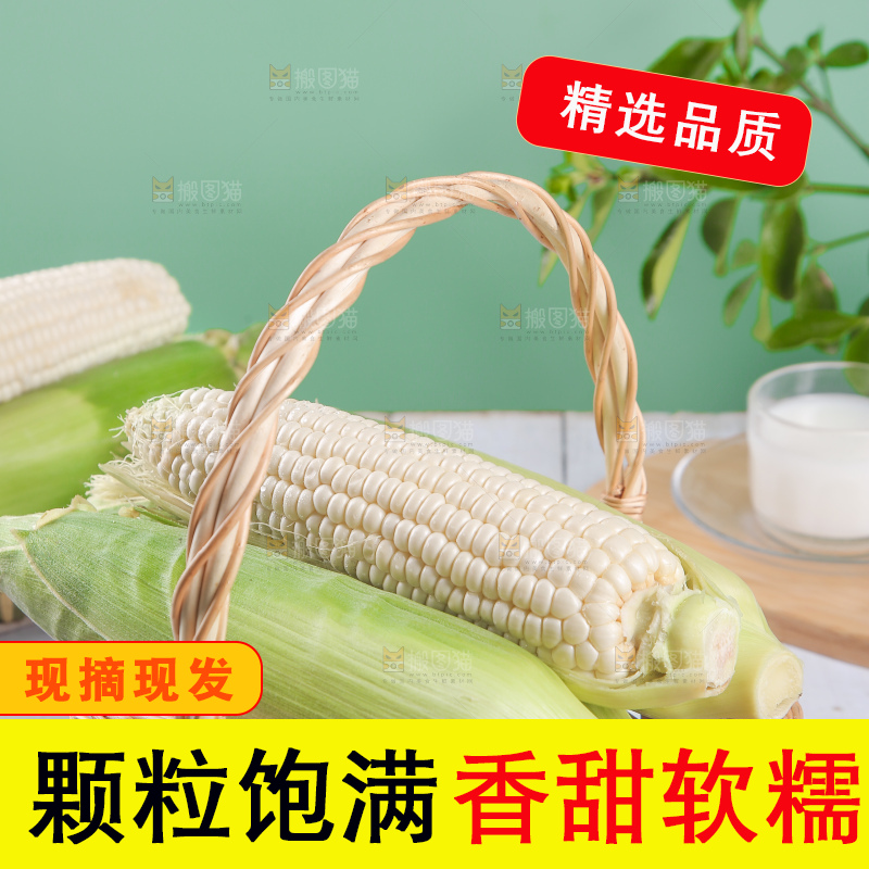 一篮新鲜白糯玉米