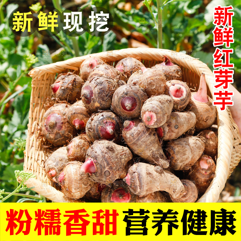一簸箕红芽芋头