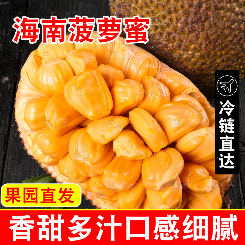 黑底上的进口红肉菠萝蜜