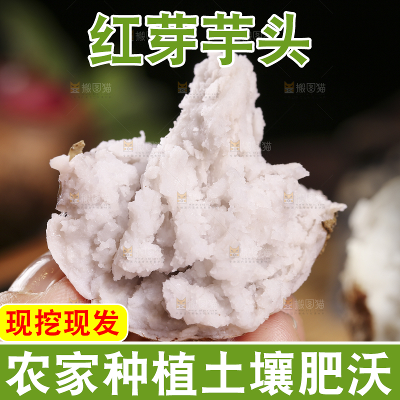手里拿着蒸熟的芋头
