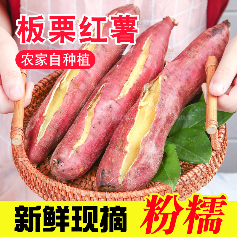 板栗薯