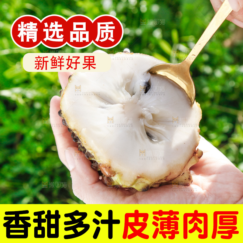 勺子上舀着释迦果果肉